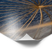 Blume, Löwenzahn Fotodruck (Ecke)