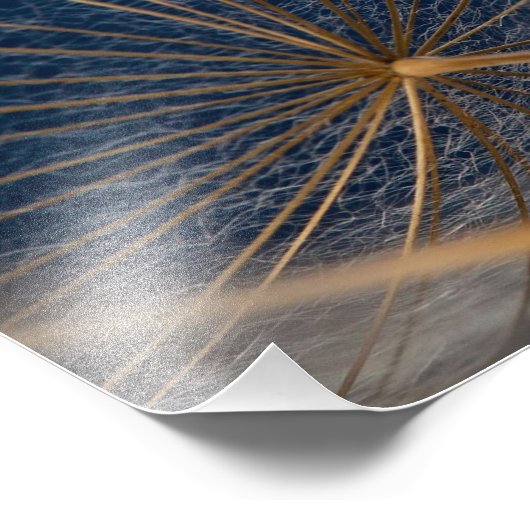 Blume, Löwenzahn Fotodruck (Ecke)