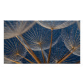 Blume, Löwenzahn Fotodruck (Vorne)