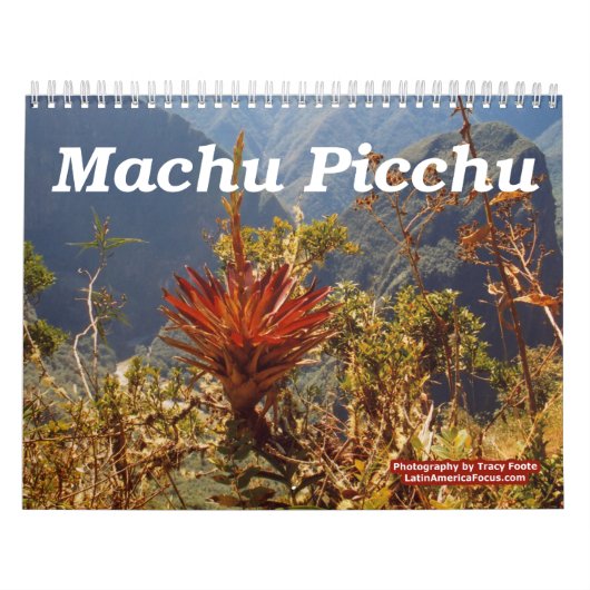 Blume Machu Picchu Peru Kalender (Titelbild)