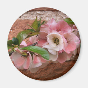 BLUME MAGNET