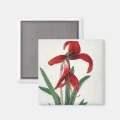 Blume Magnet (Vorderseite/Rückseite)