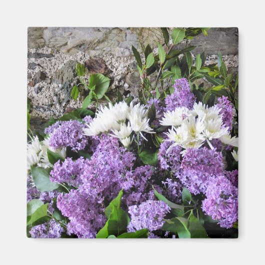 BLUME MAGNET (Vorne)