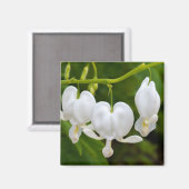 Blume Magnet (Vorderseite/Rückseite)
