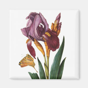 Blume Magnet