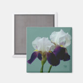 Blume Magnet (Vorderseite/Rückseite)