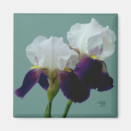 Blume Magnet (Vorne)