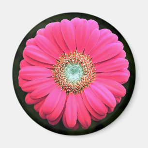 Blume Magnet
