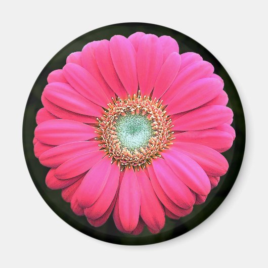 Blume Magnet (Vorne)