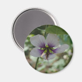 Blume Magnet (Vorderseite/Rückseite)