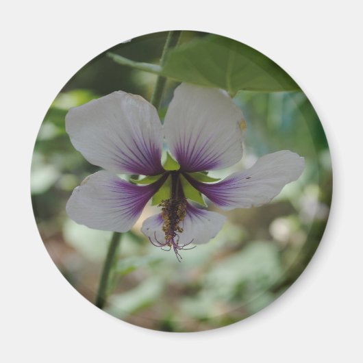 Blume Magnet (Vorne)