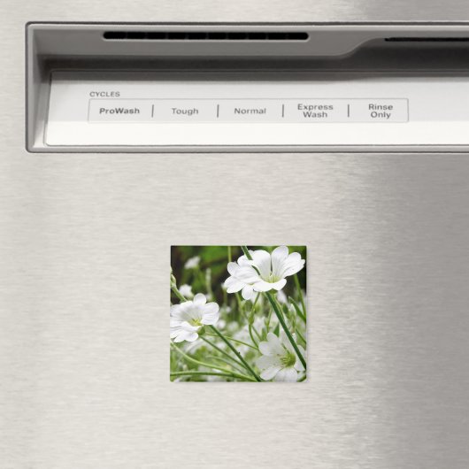 Blume Magnet (In Situ (Geschirrspüler))