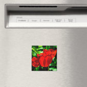 Blume Magnet (In Situ (Geschirrspüler))