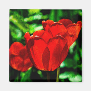 Blume Magnet