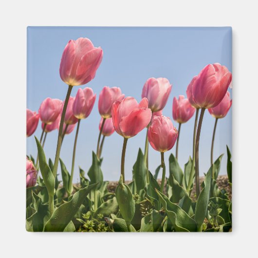 Blume Magnet (Vorne)