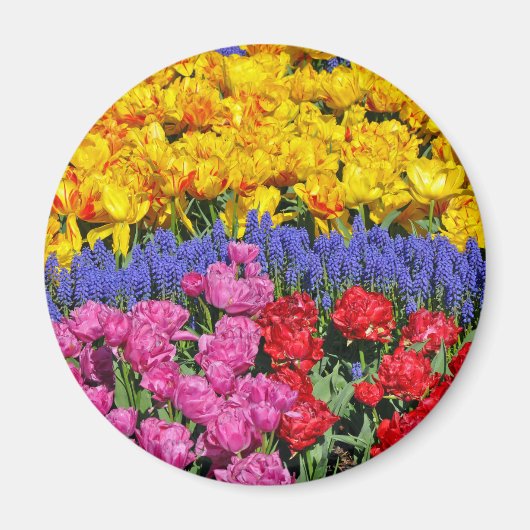 Blume Magnet (Vorne)