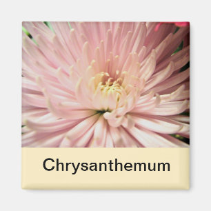 Blume Magnet