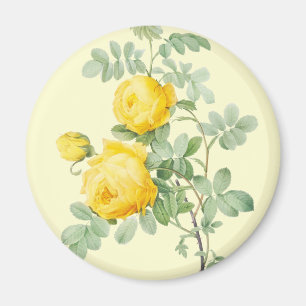 Blume Magnet