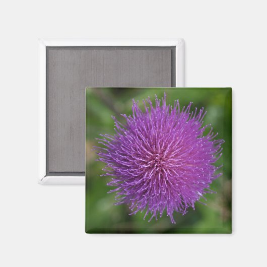 Blume Magnet (Vorderseite/Rückseite)