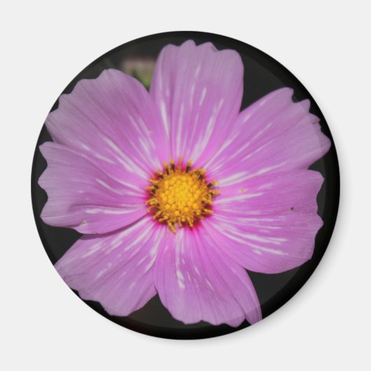 Blume Magnet (Vorne)