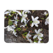 Blume Magnet (Horizontal)