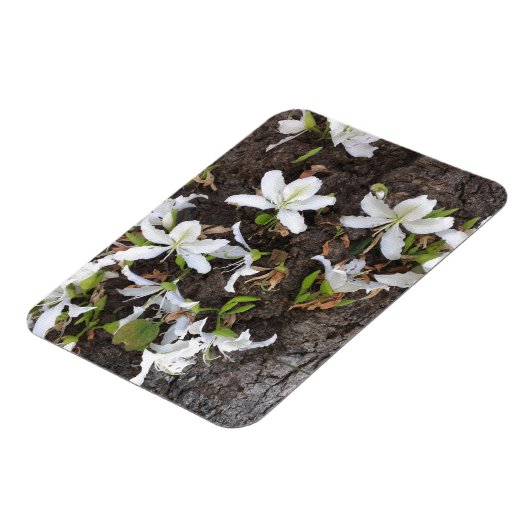 Blume Magnet (Linke Seite)