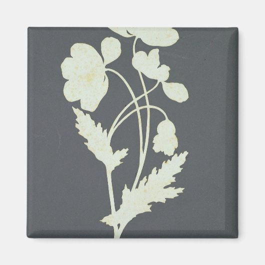Blume Magnet (Vorne)