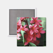 Blume Magnet (Vorderseite/Rückseite)