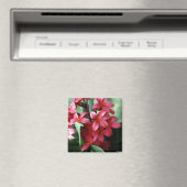 Blume Magnet (In Situ (Geschirrspüler))