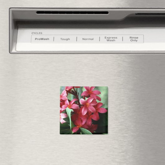 Blume Magnet (In Situ (Geschirrspüler))
