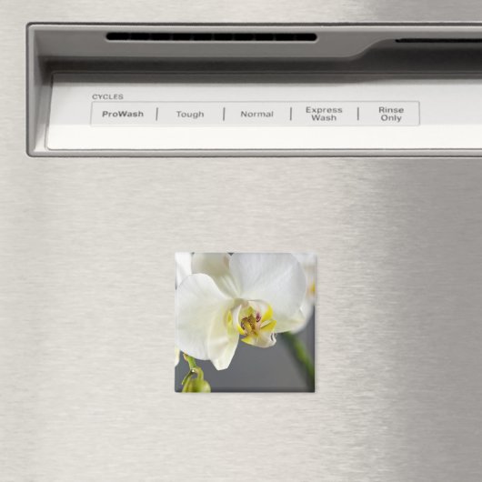 Blume Magnet (In Situ (Geschirrspüler))