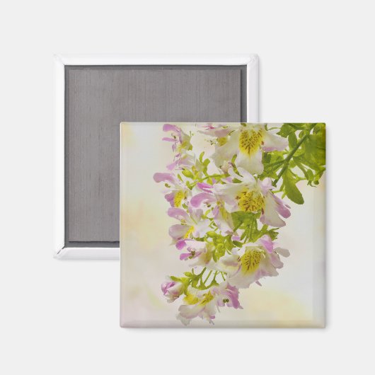 Blume Magnet (Vorderseite/Rückseite)