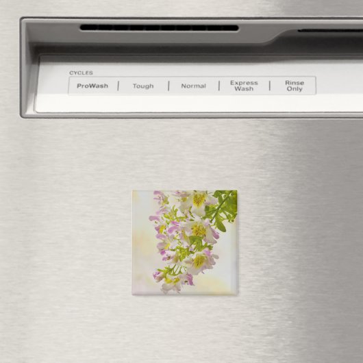 Blume Magnet (In Situ (Geschirrspüler))