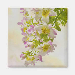 Blume Magnet