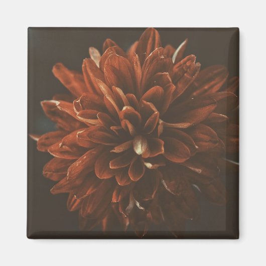 Blume Magnet (Vorne)