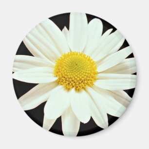 Blume Magnet