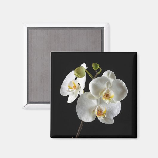 Blume Magnet (Vorderseite/Rückseite)