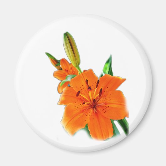 Blume Magnet (Vorne)