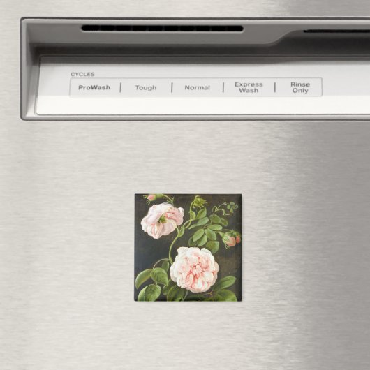 Blume Magnet (In Situ (Geschirrspüler))