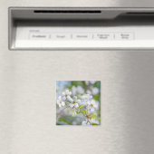 Blume Magnet (In Situ (Geschirrspüler))