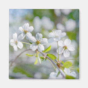 Blume Magnet