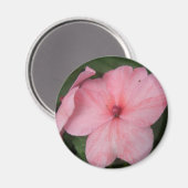 Blume Magnet (Vorderseite/Rückseite)