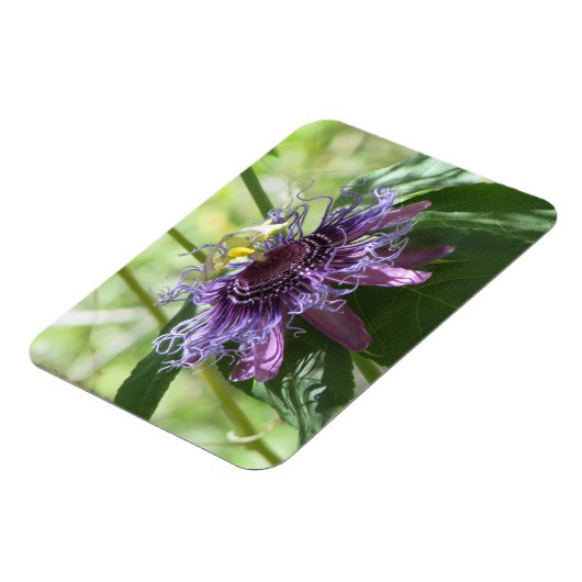 Blume Magnet (Linke Seite)