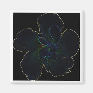 Blume Magnet