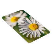 Blume Magnet (Rechte Seite)