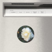 Blume Magnet (In Situ (Geschirrspüler))