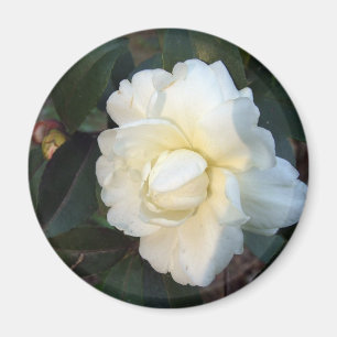 Blume Magnet
