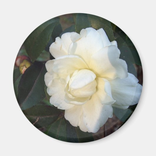 Blume Magnet (Vorne)