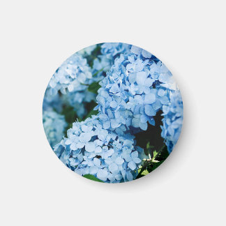 Blume Magnet