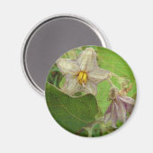 Blume Magnet (Vorderseite/Rückseite)